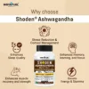Shoden® Ashwagandha Capsules - Image 4