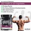 Beginner_s Protein- Basic- Chocolate Flavour- 500 Gram- Square Banner-3