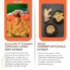 Curcumin C3 Complex + Ginger with BioPerine® Black Pepper - Image 3