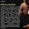 L-Carnitine L-Tartrate 2000mg Capsules - Image 3