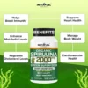 Instafuel Organic Spirulina Capsules - 2000mg | Natural Green Superfood, Rich in Antioxidants | Boosts Energy, Immunity, Detox & Weight Management Supplements for Men & Women - Image 9