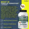 Gokharu (Tribulus terrestris) fruit extract 40% Saponins - Image 5