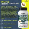 Gokharu (Tribulus terrestris) fruit extract 60% Saponins - Image 3